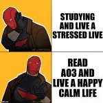 hoodie time ! ! | studying and live a stressed live; read AO3 and live a happy calm life | image tagged in red hood | made w/ Imgflip meme maker