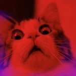 deep in scary cat