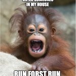 plz dont hurt me | oh no someones in my house; run forst run | image tagged in plz dont hurt me | made w/ Imgflip meme maker