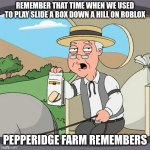 idk | Remember that time when we used to play slide a box down a hill on Roblox; Pepperidge farm remembers | image tagged in memes,pepperidge farm remembers | made w/ Imgflip meme maker