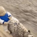 Dog Running with Baby GIF Template