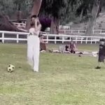 football kid GIF Template