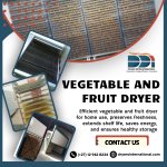 Vegetable And Fruit Dryer
