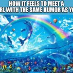 Yippee! A friend of the opposite gender! | How it feels to meet a girl with the same humor as you | image tagged in dolphin jumping with rainbow,memes,fun | made w/ Imgflip meme maker