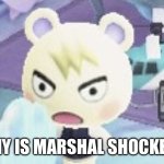 Captions, quotes, and funny scenarios in the comments, please | Why is Marshal shocked? | image tagged in marshal shocked,animal crossing | made w/ Imgflip meme maker