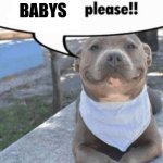 I'm not sure if this been dun before so yeah :P | babys | image tagged in waiter pit bull | made w/ Imgflip meme maker