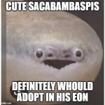 cute | cute sacabambaspis; definitely whould adopt in his eon | image tagged in prehistoric | made w/ Imgflip meme maker