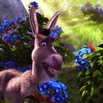 blue-flower-red-thorns