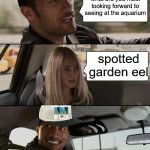 The Rock Driving | what are you most looking forward to seeing at the aquarium; spotted garden eel | image tagged in memes,the rock driving | made w/ Imgflip meme maker
