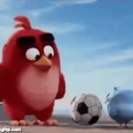 red kicking bird GIF Template