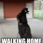 FREEDOM | walking home from the bus | image tagged in gifs,freedom | made w/ Imgflip video-to-gif maker