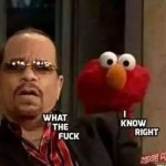 Ice t and Elmo outraged