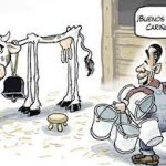 the cow