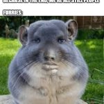 *plays "Am I Wrong?" by Nico & Vinz* | People: we should all be kind to one another 
because in the end, we're all still people
 
furries: | image tagged in grey chinchilla meme,bruh,furry,lol so funny,not racist,bro | made w/ Imgflip meme maker