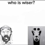 Who is wiser?
