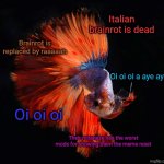 Betta as Doge | Italian brainrot is dead; Brainrot is replaced by raaaaah; Oi oi oi a aye aye; Oi oi oi; Their miraheze has the worst mods for showing them the meme reset | image tagged in betta as doge | made w/ Imgflip meme maker