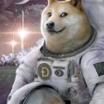 doge astronaut