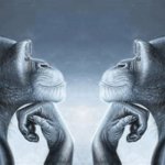 Monkey Pondering Monkey