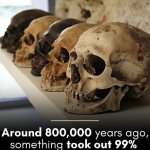skulls