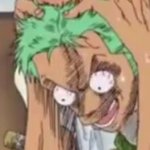 zoro panic