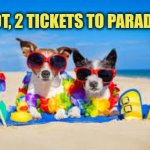 I got 2 tickets to paradise | I got, 2 tickets to paradise. | image tagged in two dogs on beach,beach | made w/ Imgflip meme maker