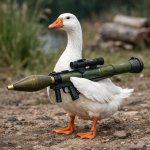 goose holding rpg