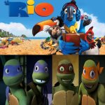 2012 Turtles Loves Rio (2011) | image tagged in who loves/likes rio 2011,rio,tmnt,teenage mutant ninja turtles,memes | made w/ Imgflip meme maker