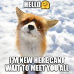 What Does The Fox Say? | hello🤗; i'm new here,cant wait to meet you all | image tagged in what does the fox say | made w/ Imgflip meme maker