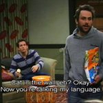 Cat in the Wall Charlie Kelly