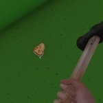 I don't like raisin cake