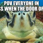 School | POV everyone in class when the door opens: | image tagged in turtle,school,never gonna give you up,never gonna let you down,never gonna run around,and desert you | made w/ Imgflip meme maker