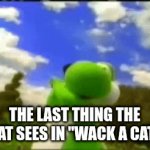bye bye | The last thing the cat sees in "wack a cat" | image tagged in gifs,yoshi,meme,wack,whack | made w/ Imgflip video-to-gif maker