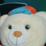 Bubu the bear