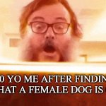 jack black reading book | 10 yo me after finding out what a female dog is called | image tagged in jack black reading book | made w/ Imgflip meme maker