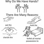 Why we have hands