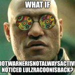 Would he fight or get scared? | What if; Dotwarnerisnotalwaysactive noticed LULZRACOONISBACK? | image tagged in acid kicks in morpheus | made w/ Imgflip meme maker