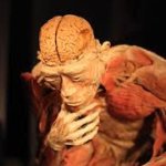 Scp-1234-j part 2