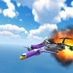 Bird strike in TFS