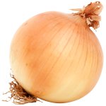 onion