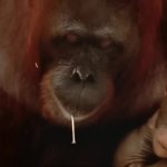 Terrifying constryction GIF Template