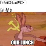 He thinks hes slick with it. | Me: Eating my lunch; My cat:; Our lunch | image tagged in our,cats,food | made w/ Imgflip meme maker