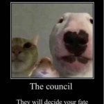 the council will define your fate