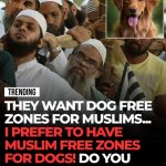 Dogs vs Muslims? Dogs 100% meme