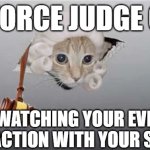 divorce judge cat