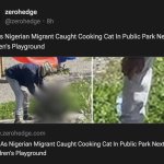 Nigerian Snatches Cat, Eats It