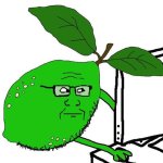 LIME soyjak at computer