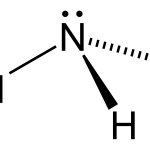 Ammonia Molecule