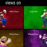 What are the Mario and Wario bros' views on...