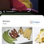 That ain't Chuck, it's Banana Bird | That ain't Chuck, it's Banana Bird! | image tagged in banana chuck,google lens | made w/ Imgflip meme maker