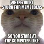 sometimes you dont have a single idea for a meme | When you're stuck for meme ideas; so you stare at the computer like: | image tagged in staring cat/gusic,memes | made w/ Imgflip meme maker